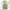 Streetwear Y2K Tracksuit Pria green photo 1