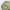 Streetwear Y2K Tracksuit Pria green photo 6