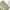 Streetwear Y2K Tracksuit Pria green photo 7