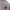 Marvel Luxury Sweater Pria Multicolor