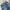 True Religion Streetwear Y2K Flare pants Wanita blue photo 5