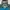 The North Face Gorpcore Windbreaker Pria gray blue photo 3