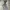 Streetwear Y2K Flare pants Wanita gray photo 2