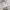 Vintage Casual Trench coat Pria navy photo 8