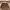 Minimalist Wanita brown photo 1