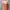 Luxury Sportswear Crop top Wanita orange photo 1