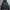 Carhartt Streetwear Hoody Pria Black
