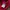 Dickies Streetwear Luxury Hoody Pria red photo 5