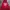 Dickies Streetwear Luxury Hoody Pria Red