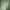 Avant Garde Casual Shirt Wanita green photo 4