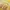 Japanese brand Vintage Luxury Glove Pria yellow photo 3