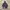 Vintage Casual Parka Pria navy photo 1