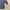 Vintage Casual Parka Pria navy photo 8