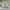 Japanese brand Vintage Luxury Pria white green photo 1