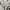 Japanese brand Vintage Luxury Pria white green photo 2