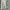 Japanese brand Vintage Luxury Pria white green photo 3