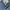 ZARA Streetwear Casual Jeans Pria blue photo 6