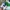 Polo Ralph Lauren Casual Polo shirt Pria white green photo 4
