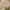 Louis Vuitton Vintage Luxury Bag Pria tan brown photo 1