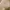 Louis Vuitton Vintage Luxury Bag Pria Tan Brown