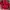 Puma Sportswear Track jacket Pria red photo 1