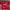 Puma Sportswear Track jacket Pria red photo 6
