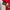 Puma Sportswear Track jacket Pria red photo 4