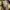 45rpm Y2K Avant Garde Casual shirt Pria multicolor photo 4