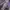 Le Coq Sportif Biker Casual Puffer jacket Pria purple photo 6