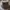 Nike Emo Hat Kids white photo 1
