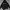 Champion Luxury Hoody Pria black photo 1