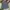 GU Vintage Casual Formal shirt Pria white navy photo 1
