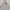 Beanpole Sportswear Fleece Pria tan photo 1