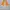 Streetwear Sportswear Windbreaker Pria white orange photo 2