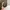 Beanpole Biker Sportswear Tracksuit Pria tan photo 6