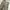 NEPA Gorpcore Biker Tracksuit Pria tan photo 5