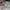 Le Coq Sportif Casual Hat Pria white photo 2