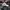 Le Coq Sportif Casual Hat Pria white photo 4