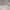 Le Coq Sportif Casual Hat Pria white photo 8