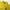 Casual Casual shirt Pria yellow photo 2