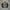 Casual Bomber jacket Pria brown black photo 1