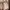 ZARA Streetwear Casual Parka Pria pink photo 6