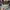 Casual Hat Pria multicolor photo 5