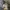 Adidas Luxury Hoody Pria gray photo 4