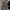Adidas Luxury Hoody Pria gray photo 1