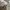 Adidas Luxury Hoody Pria gray photo 6