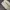 Streetwear Casual Pria gray cream photo 4