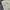 Streetwear Casual Pria gray cream photo 6