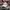 Sportswear Casual Hat Pria white photo 1