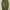 Japanese brand Streetwear Skater Casual pants Pria green photo 5